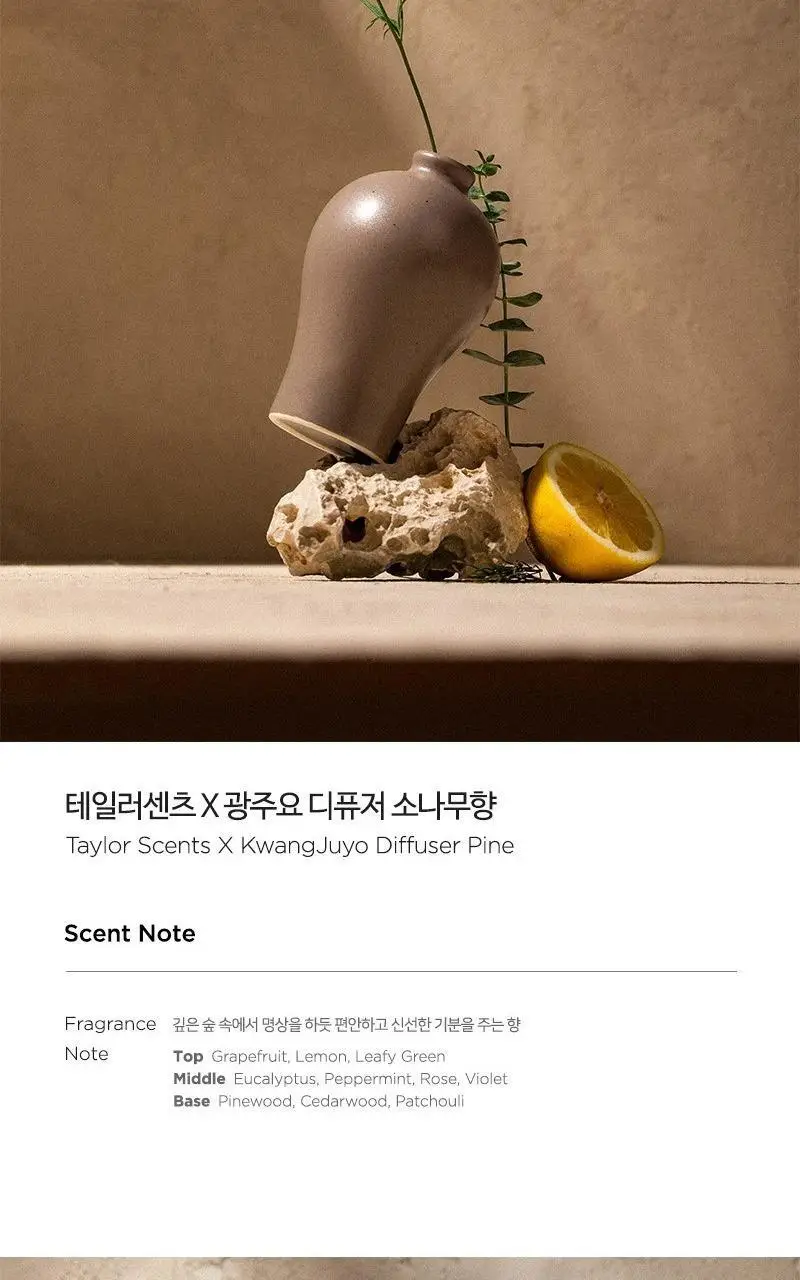 [NEW] 테일러센츠 x 광주요 매병 디퓨저 단품 200ml 2종 택1 상세페이지 7